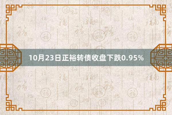 10月23日正裕转债收盘下跌0.95%