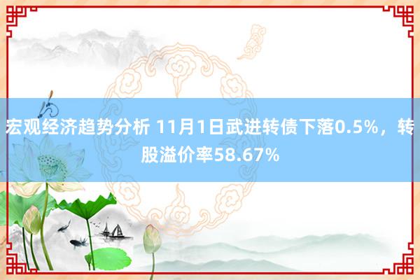 宏观经济趋势分析 11月1日武进转债下落0.5%，转股溢价率58.67%