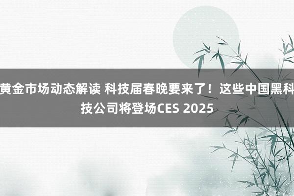 黄金市场动态解读 科技届春晚要来了！这些中国黑科技公司将登场CES 2025