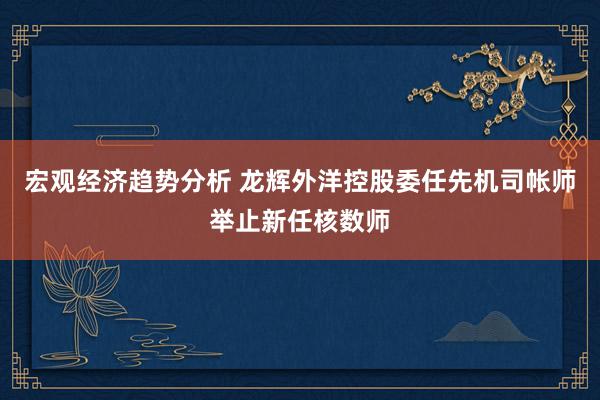 宏观经济趋势分析 龙辉外洋控股委任先机司帐师举止新任核数师