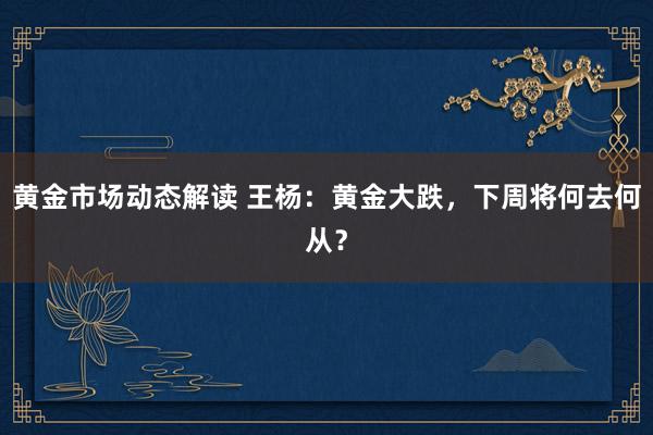 黄金市场动态解读 王杨：黄金大跌，下周将何去何从？