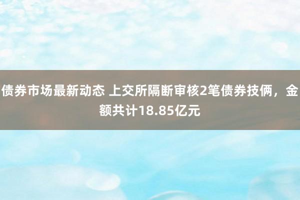 债券市场最新动态 上交所隔断审核2笔债券技俩，金额共计18.85亿元