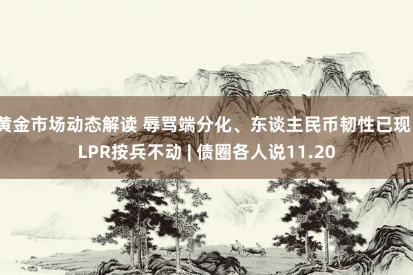 黄金市场动态解读 辱骂端分化、东谈主民币韧性已现、LPR按兵不动 | 债圈各人说11.20