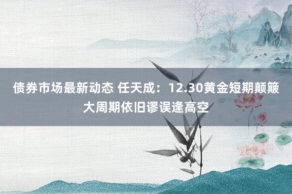 债券市场最新动态 任天成：12.30黄金短期颠簸大周期依旧谬误逢高空