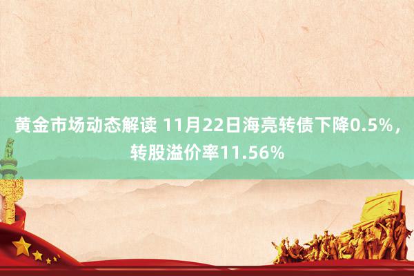 黄金市场动态解读 11月22日海亮转债下降0.5%，转股溢价率11.56%