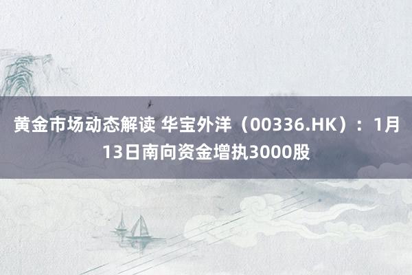 黄金市场动态解读 华宝外洋（00336.HK）：1月13日南向资金增执3000股