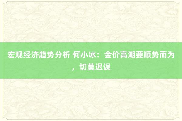 宏观经济趋势分析 何小冰：金价高潮要顺势而为，切莫迟误