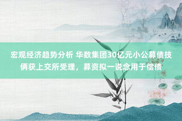 宏观经济趋势分析 华数集团30亿元小公募债技俩获上交所受理，募资拟一说念用于偿债