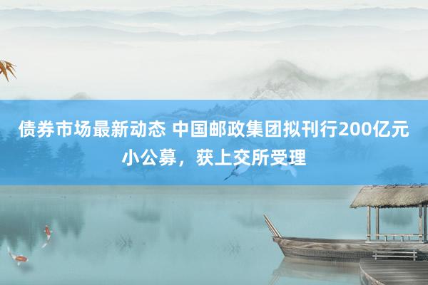 债券市场最新动态 中国邮政集团拟刊行200亿元小公募，获上交所受理