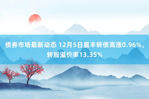 债券市场最新动态 12月5日晨丰转债高涨0.96%，转股溢价率13.35%