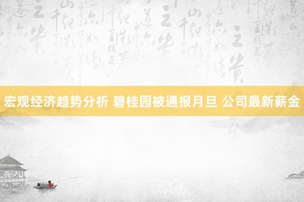 宏观经济趋势分析 碧桂园被通报月旦 公司最新薪金