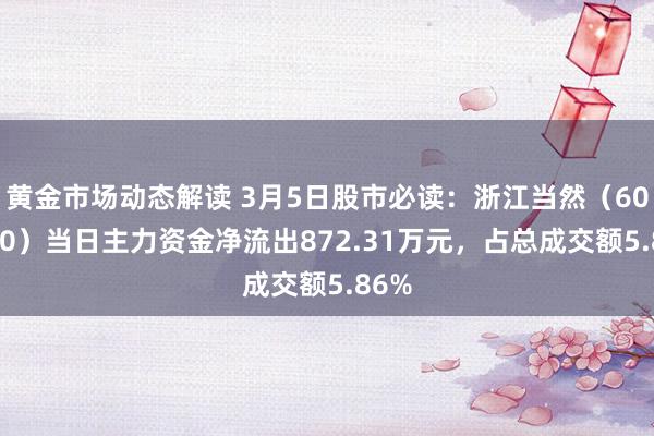 黄金市场动态解读 3月5日股市必读：浙江当然（605080）当日主力资金净流出872.31万元，占总成交额5.86%