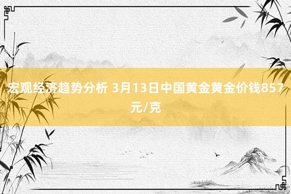 宏观经济趋势分析 3月13日中国黄金黄金价钱857元/克