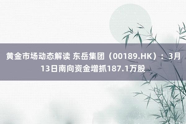 黄金市场动态解读 东岳集团（00189.HK）：3月13日南向资金增抓187.1万股