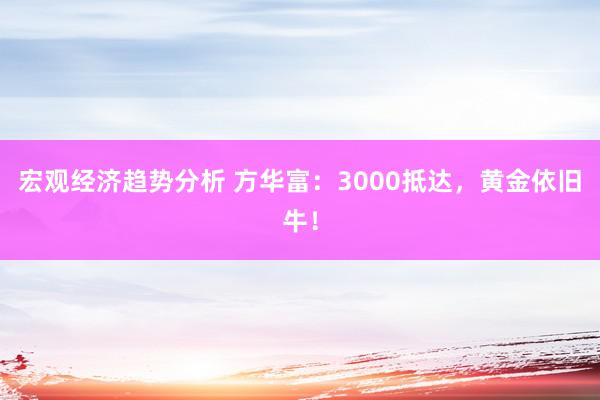 宏观经济趋势分析 方华富：3000抵达，黄金依旧牛！