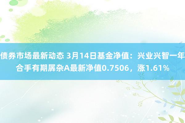 债券市场最新动态 3月14日基金净值：兴业兴智一年合手有期羼杂A最新净值0.7506，涨1.61%